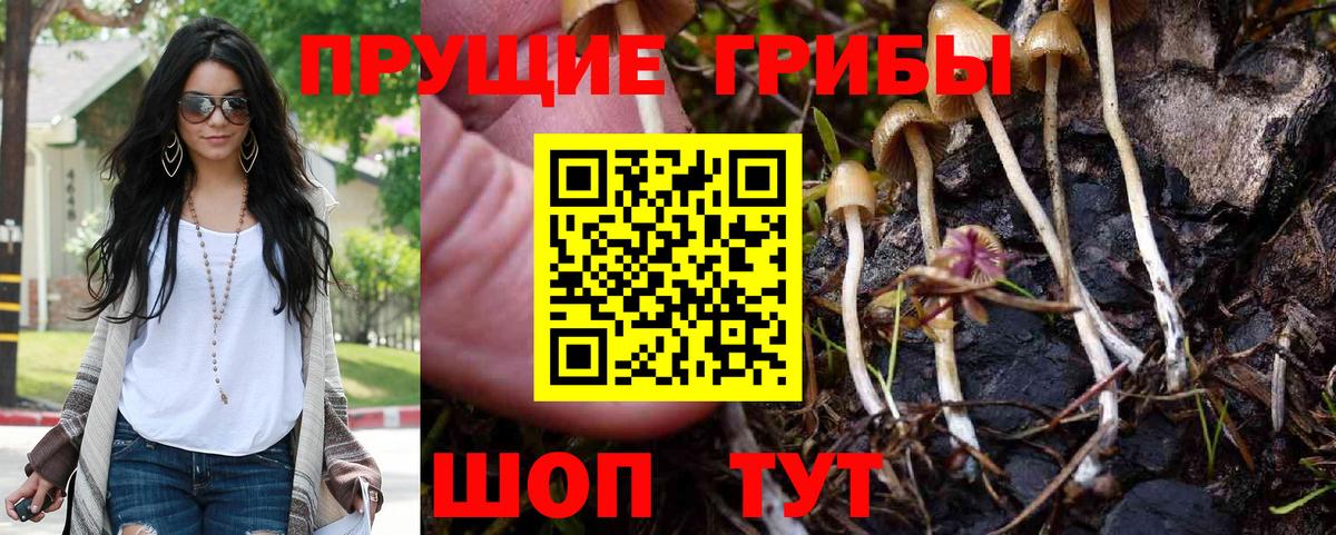 Псилоцибиновые грибы Psilocybine cubensis Мичуринск