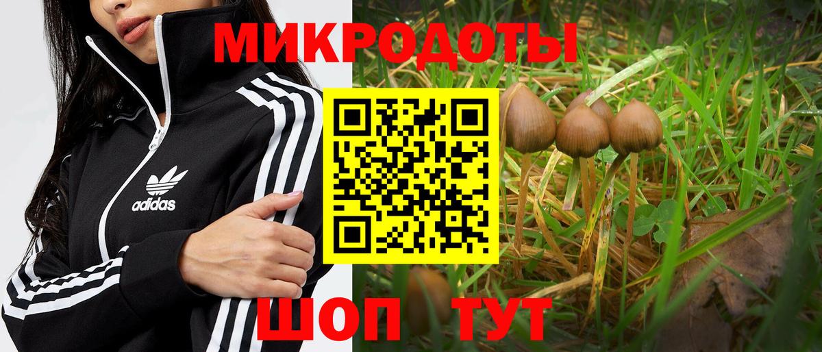 Мичуринск  Галлюциногенные грибы GOLDEN TEACHER  Вход с VPN 