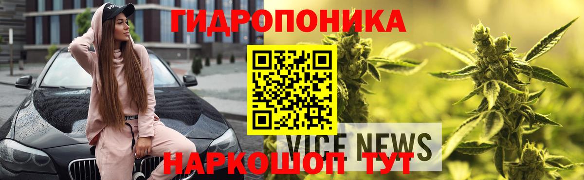 Шишки марихуана семена  Бошки марихуана Ganja  Конопля LSD WEED  Вход с VPN  Мичуринск 